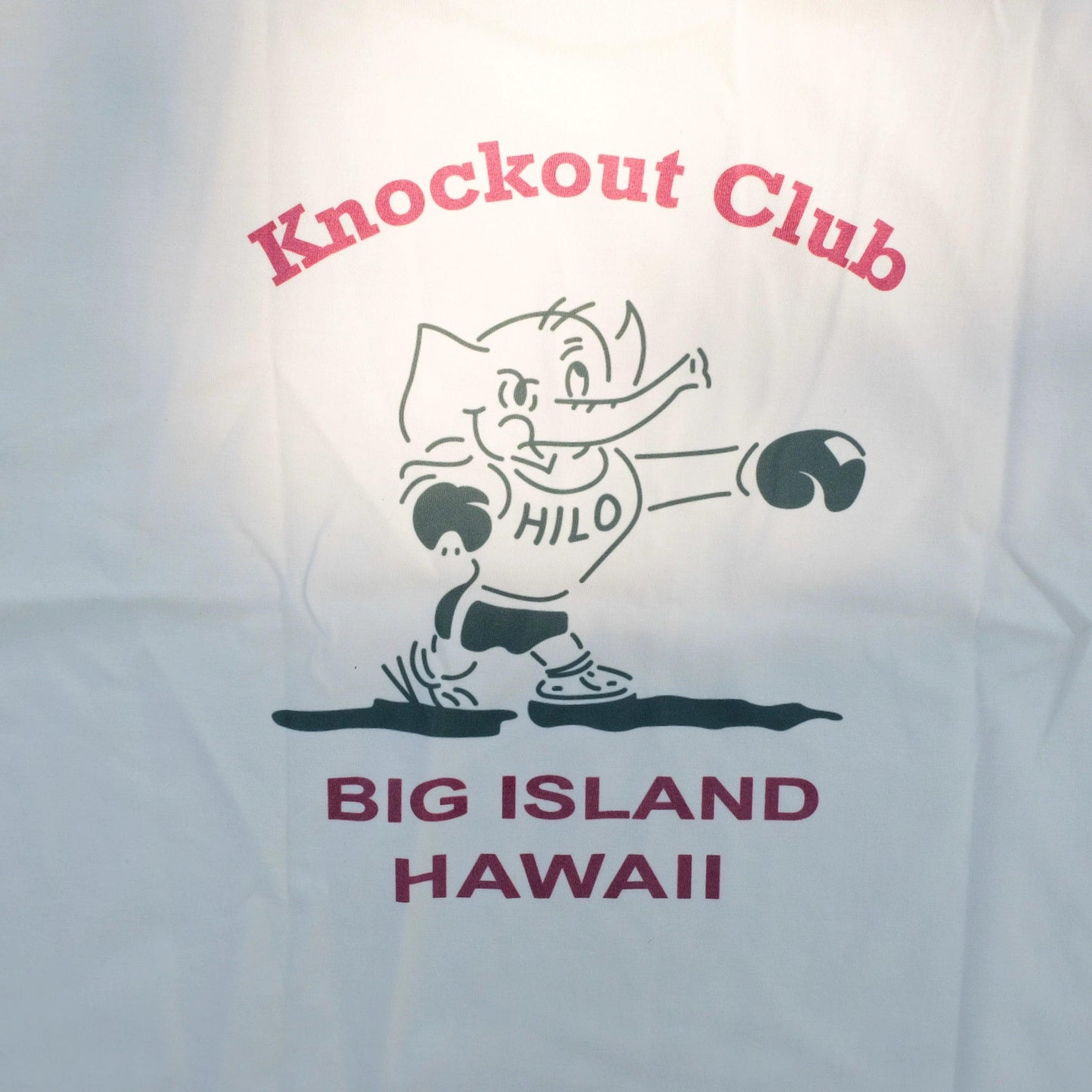 ALOHA HAWAII KNOCKOUT CLUB TEE - Protect and Ride