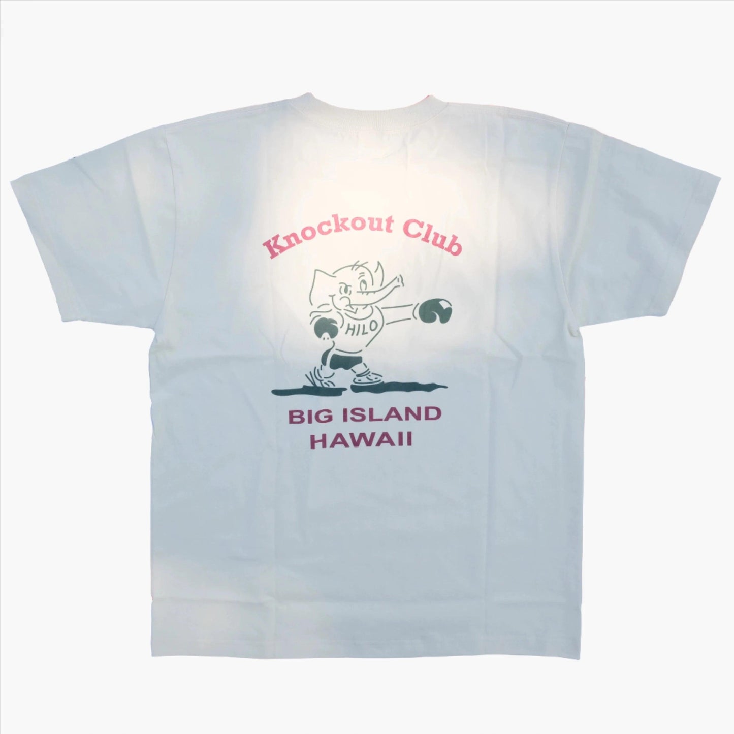 ALOHA HAWAII KNOCKOUT CLUB TEE - Protect and Ride